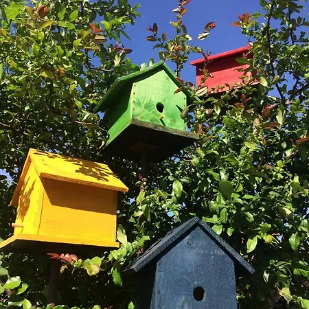 Bed & Breakfast La Voie Romaine